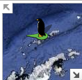 Streetview pinguin Streetview pinguin