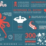 octopus feiten